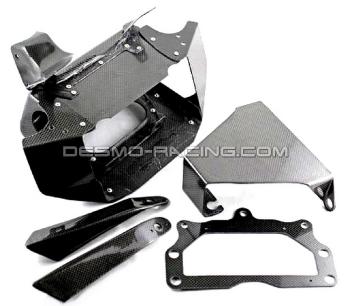CARBON RACING STAY HOLDER MAZINGA 996RS - 998RS DUCATI  748 - 916 - 996 - 998 - CM COMPOSIT