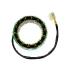 GENERATOR STATOR FOR DUCATI SINGLE PHASE EXTERNAL 2 YELLOW WIRE -  ESG81
